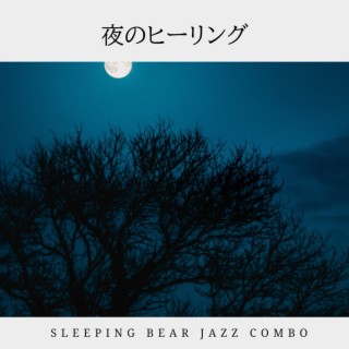 夜のヒーリング