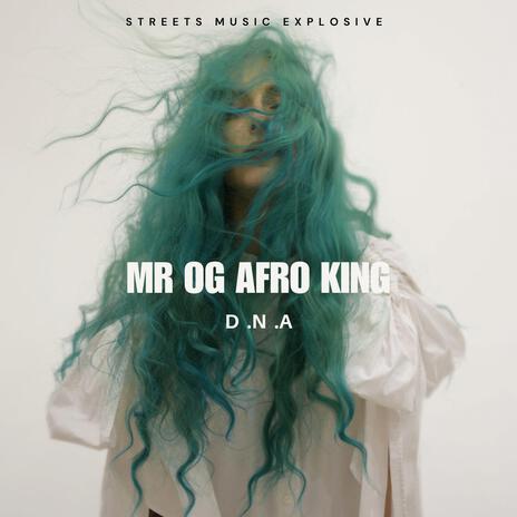 D N A ft. Mr O G Afroking