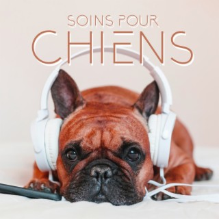 Soins pour chiens: Musique apaisante pour chiens