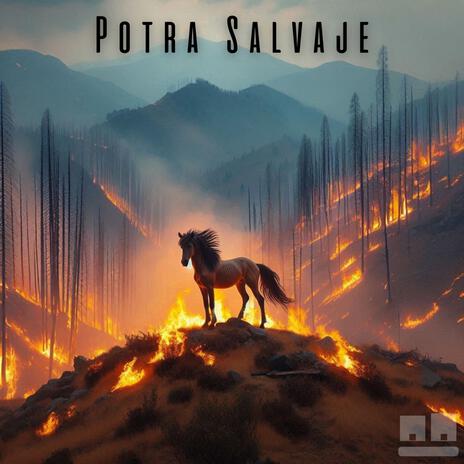 Potra Salvaje | Boomplay Music