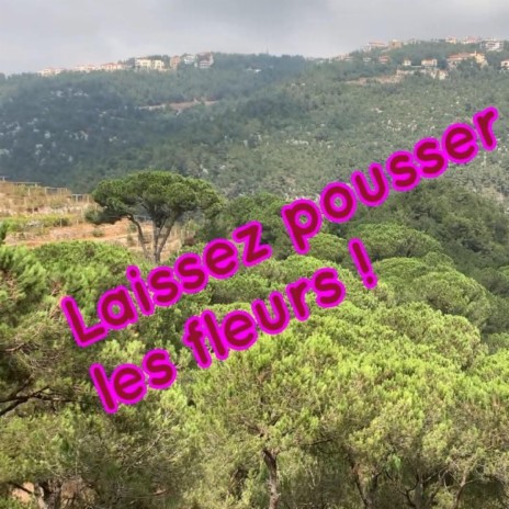 Laissez pousser les fleurs | Boomplay Music