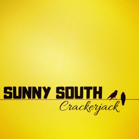 Sunny South | Boomplay Music