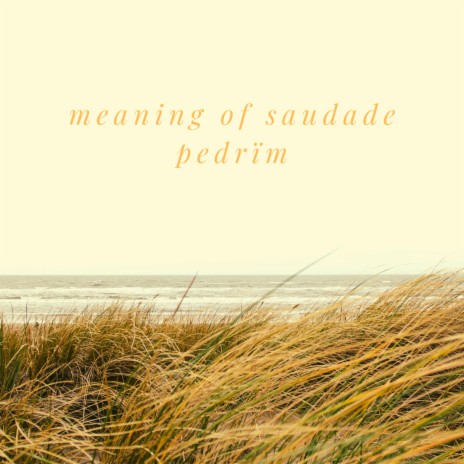 Pedrïm - Meaning Of Saudade MP3 Download & Lyrics