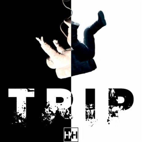 trip ft. its_vilu