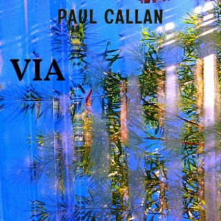 Paul Callan