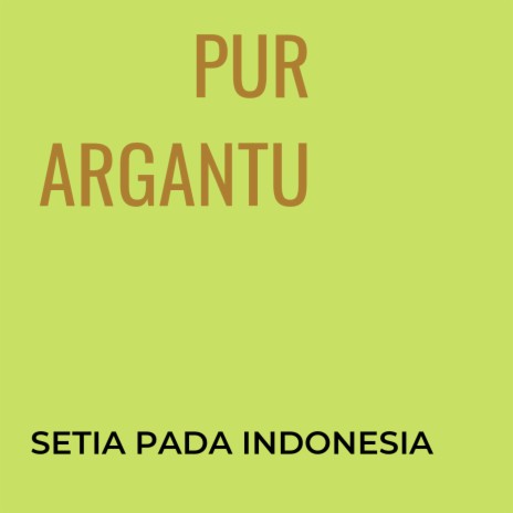 Setia Pada Indonesia | Boomplay Music