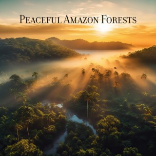 Peaceful Amazon Forests: Hang & Kalimba, Quiet Jungle, Exotic Birdsong