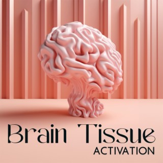 Brain Tissue Activation: Alpha Wave Chakra Frequencies, Memory Improvement and Concentration Boost