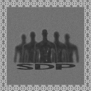 SDP