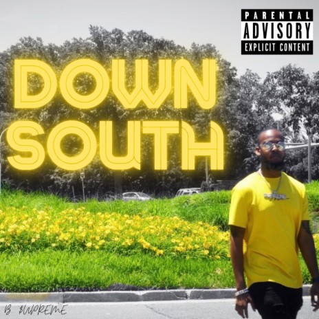 Down South ft. Pierce Washington | Boomplay Music