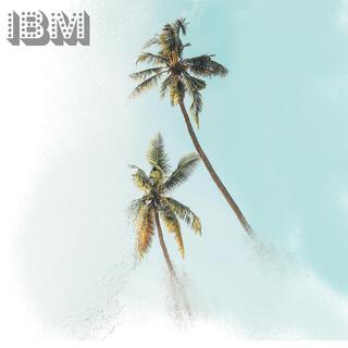 IBM lyrics | Boomplay Music