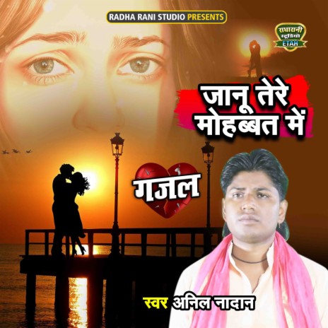 Janu Tere Mohbbat Main | Boomplay Music