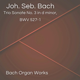 Trio Sonate No. 3 in d minor, BWV 527-1 (Johann Sebastian Bach, Epic Organ, Classic)