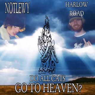 do all cats go to heaven?