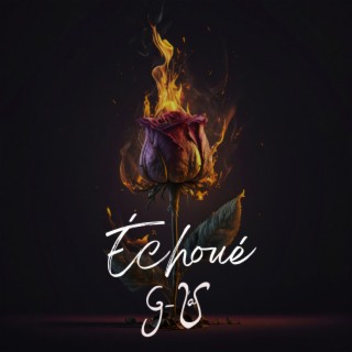 échoué lyrics | Boomplay Music