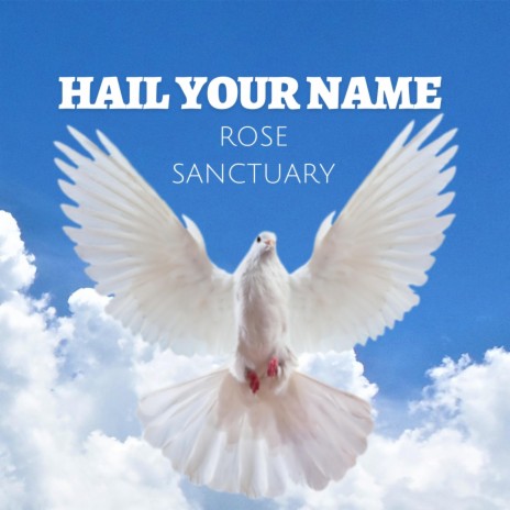 HAIL YOUR NAME | Boomplay Music