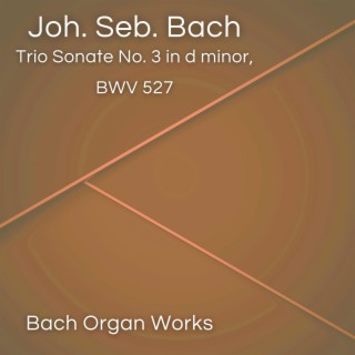 Trio Sonate No. 3 in d minor, BWV 527 (Johann Sebastian Bach, Epic Organ, Classic)