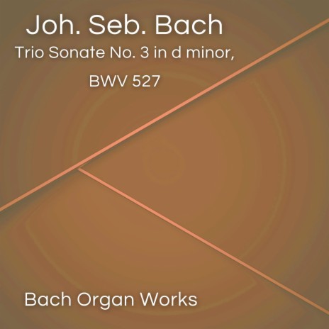 Trio Sonate No. 3 in d minor, BWV 527 (Bach Organ Works in September) | Boomplay Music