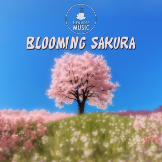 Blooming Sakura