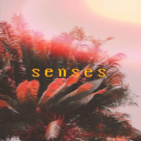 senses