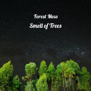 Smell of Trees