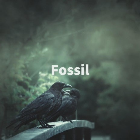 Fossil | Boomplay Music