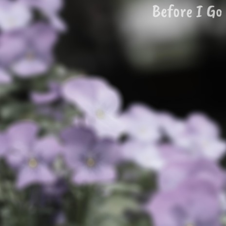 Before I Go | Boomplay Music