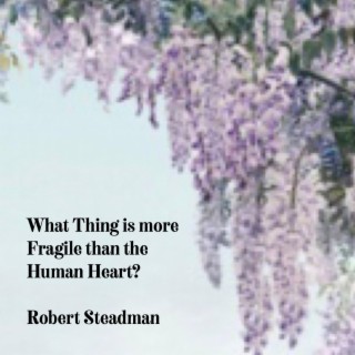 What Thing is More Fragile Than the Human Heart?
