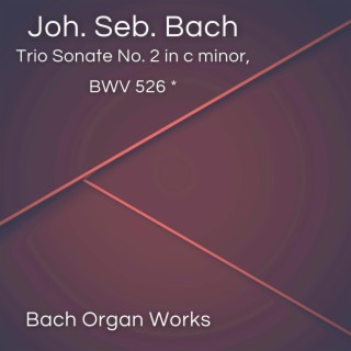 Trio Sonate No. 2 in c minor, BWV 526-1 (Johann Sebastian Bach, Epic Organ, Classic)