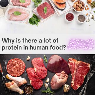 Why is there a lot of protein in human food (feat. Lychee Passion)