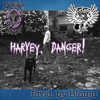 Harvey, Danger!