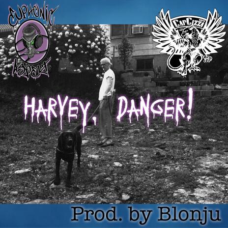 Harvey, Danger! ft. CapCizza | Boomplay Music