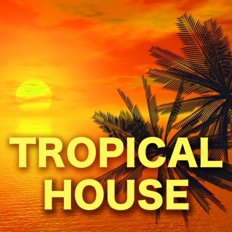 Not an Option (Tropical House) | Boomplay Music