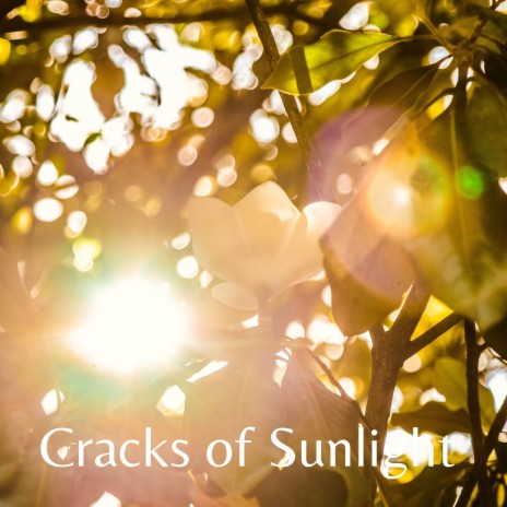 Cracks of Sunlight | Boomplay Music