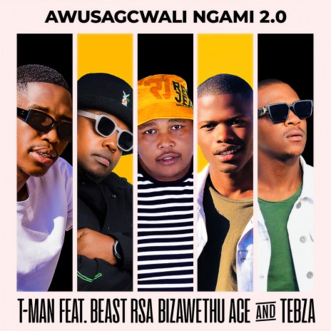 Awusagcwali Ngami 2.0 ft. Beast RSA, BizaWethu, ACE & Tebza | Boomplay Music