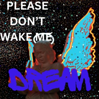 Please Don't Wake Me