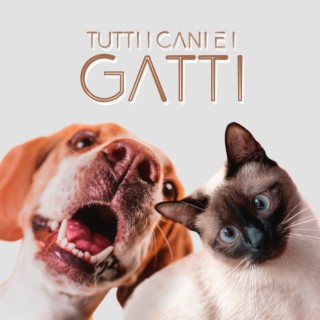 Tutti i cani e i gatti: Musica rilassante per animali domestici