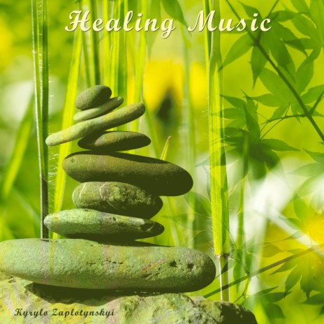 Calm Nature Meditation | Boomplay Music