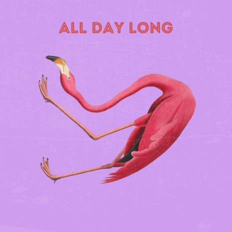 All Day Long | Boomplay Music
