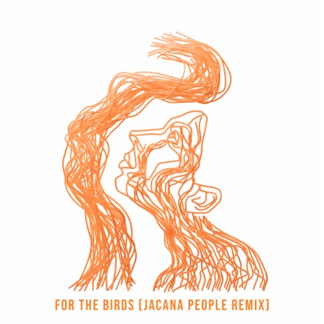 For The Birds - Jacana People Remix | Boomplay Music