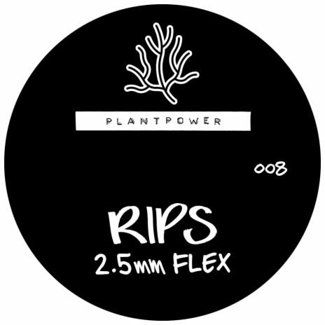 2.5mm Flex (Original Mix)