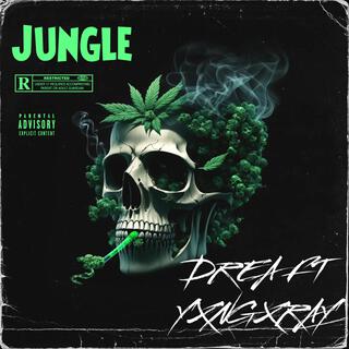 Jungle