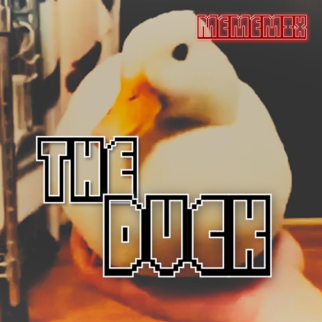 The Duck | Boomplay Music