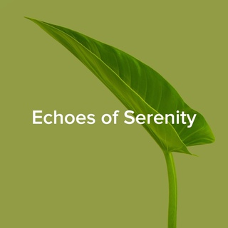 Echos of Serenity