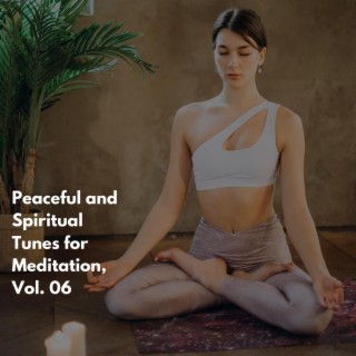 Peaceful and Spiritual Tunes for Meditation, Vol. 06