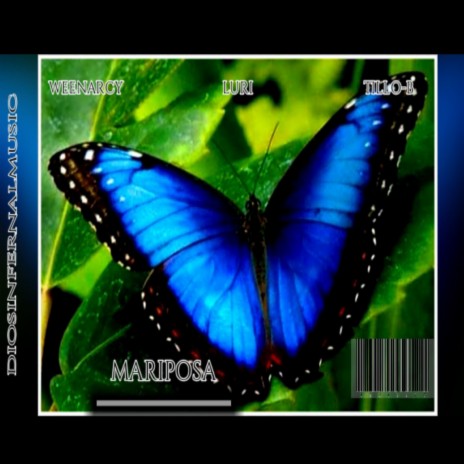 Mariposa | Boomplay Music