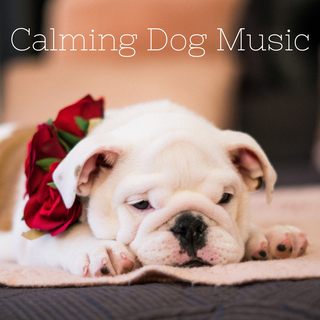 Calming Dog Music