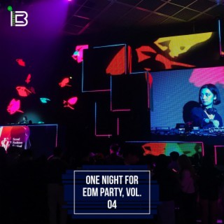 One Night for EDM Party, Vol. 04