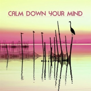 Calm Down your Mind: Music for Relaxation Techniques and Stress Management