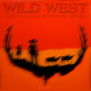 WILD WEST!